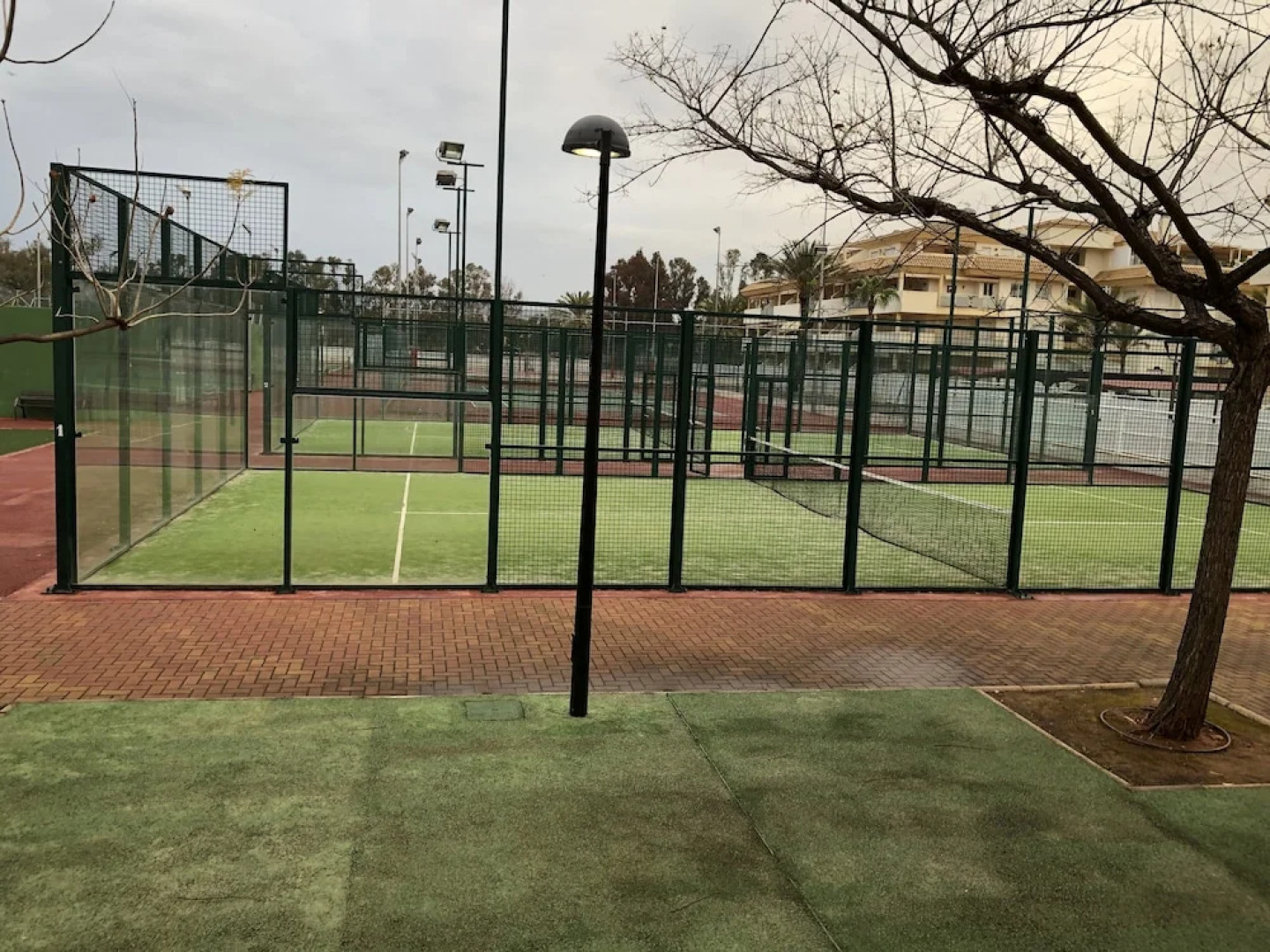 Torreblanca - Palmeral II