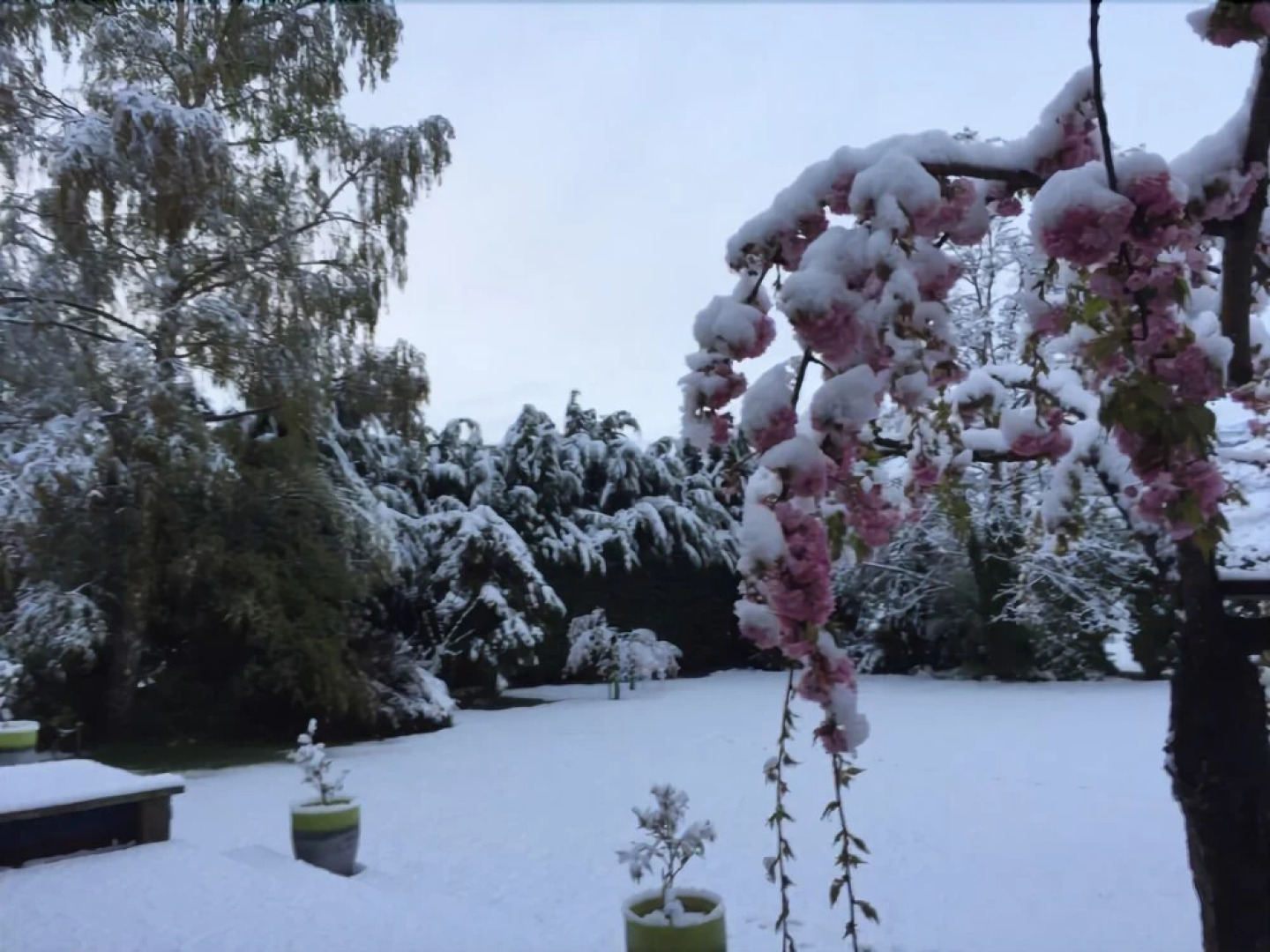 Bearsden Bed & Breakfast