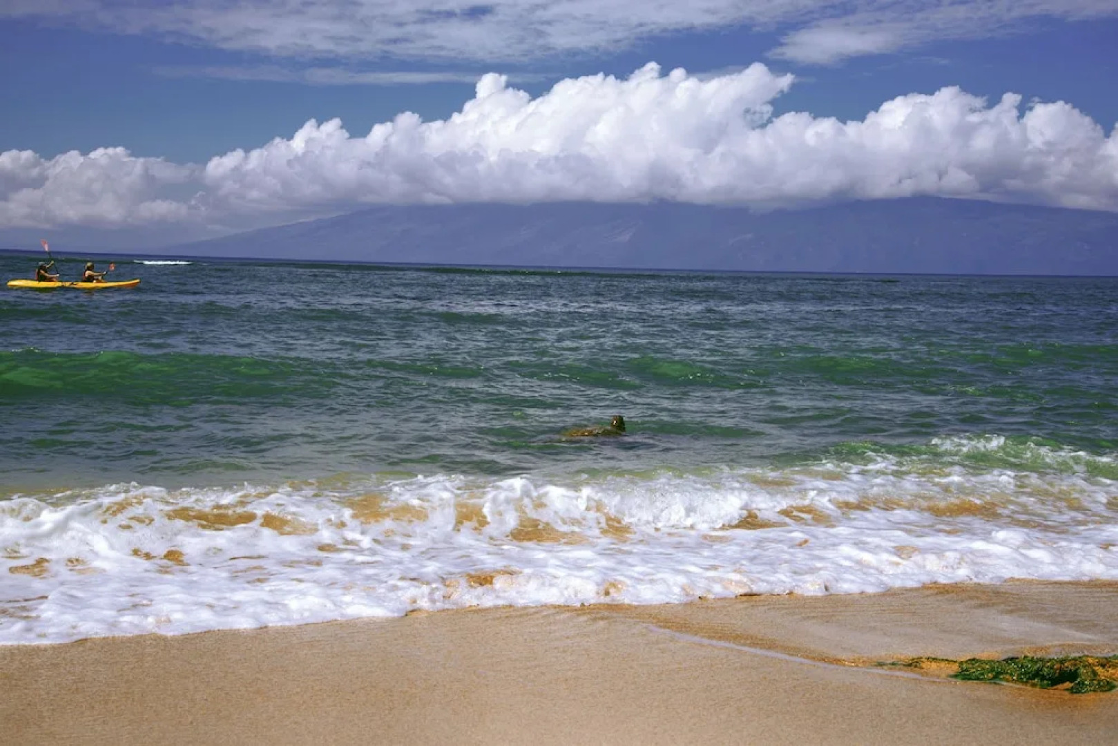 Royal Kahana 119 Studio Studio Bedroom Condo by RedAwning