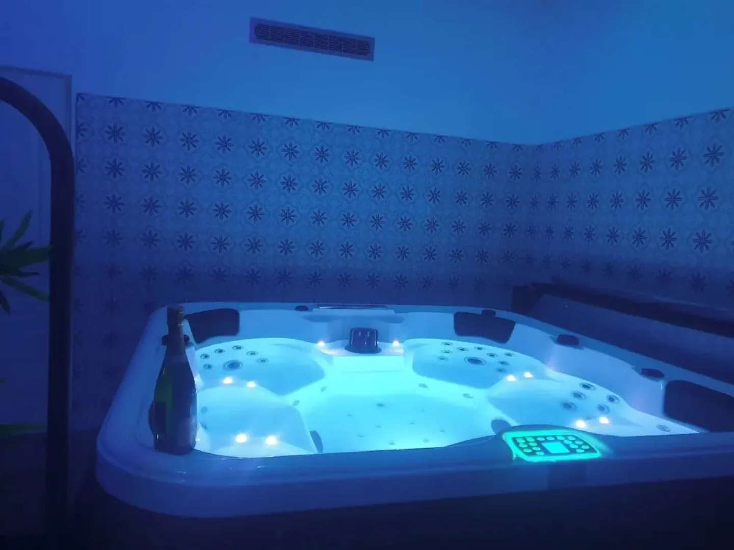 Les 2 Droles d'Oiseaux