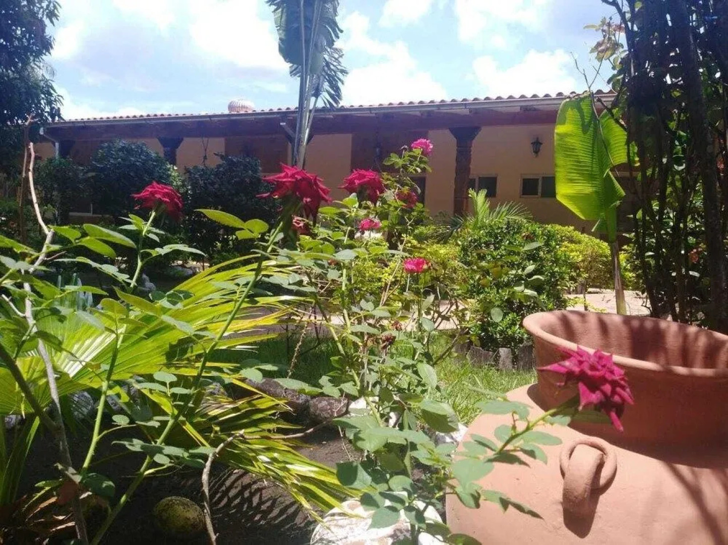 Hotel La Casona De Don Pepe