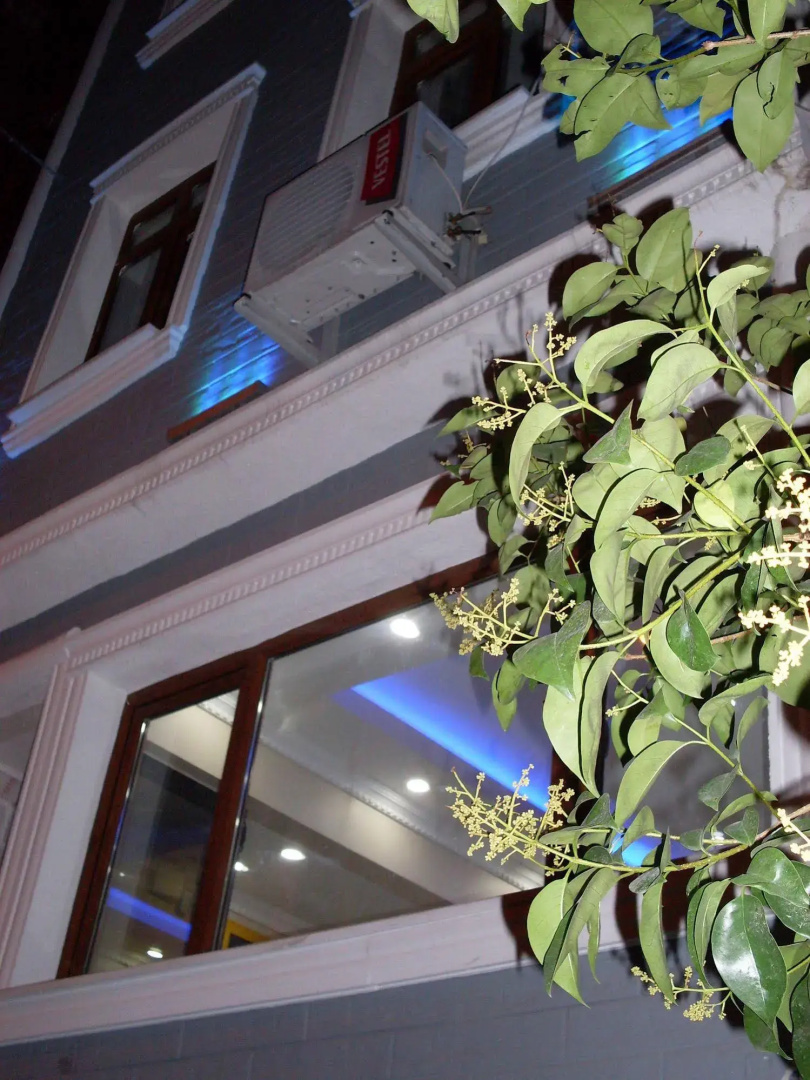 Taksim Antique Suites