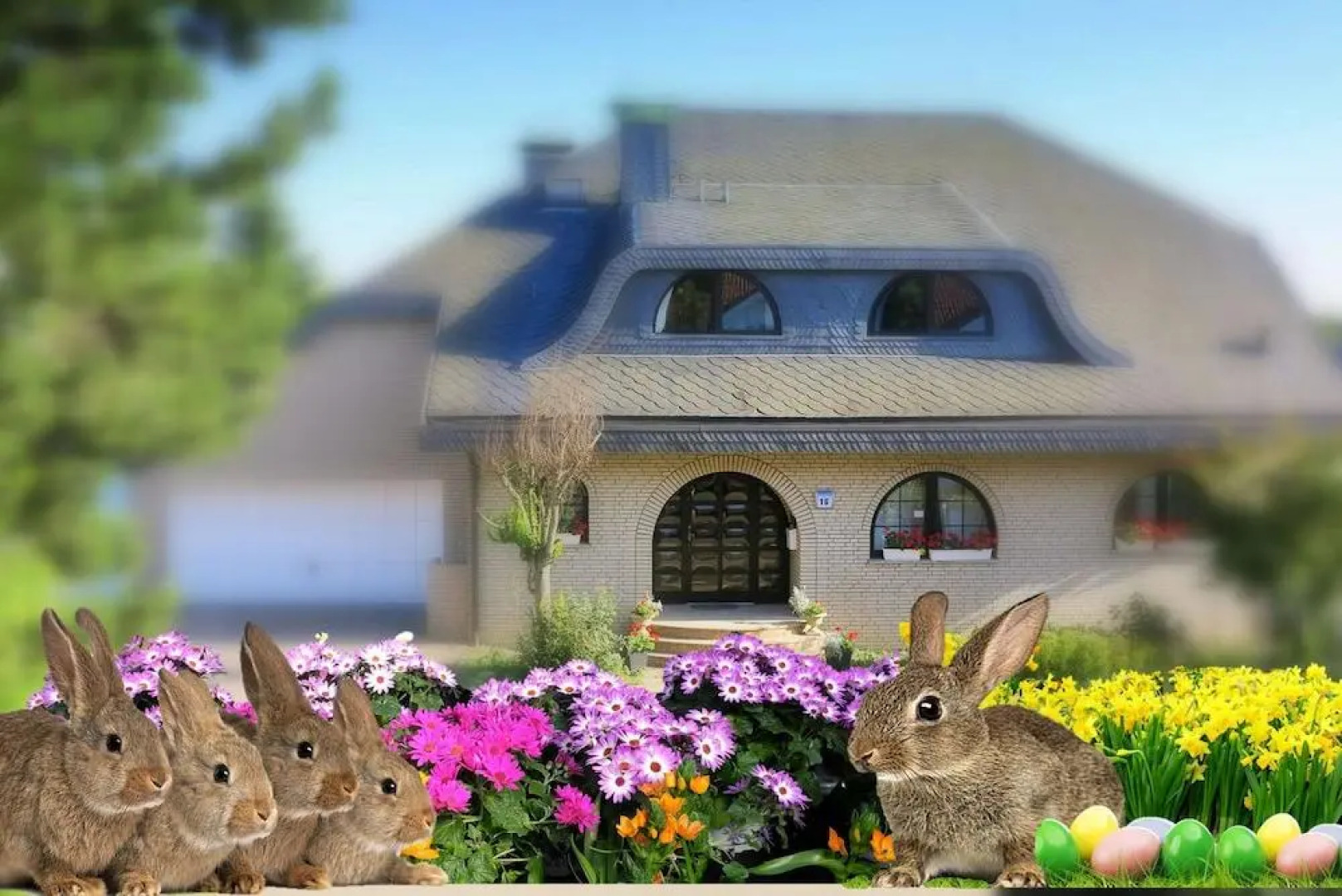 Villa Orchard Frankfurt