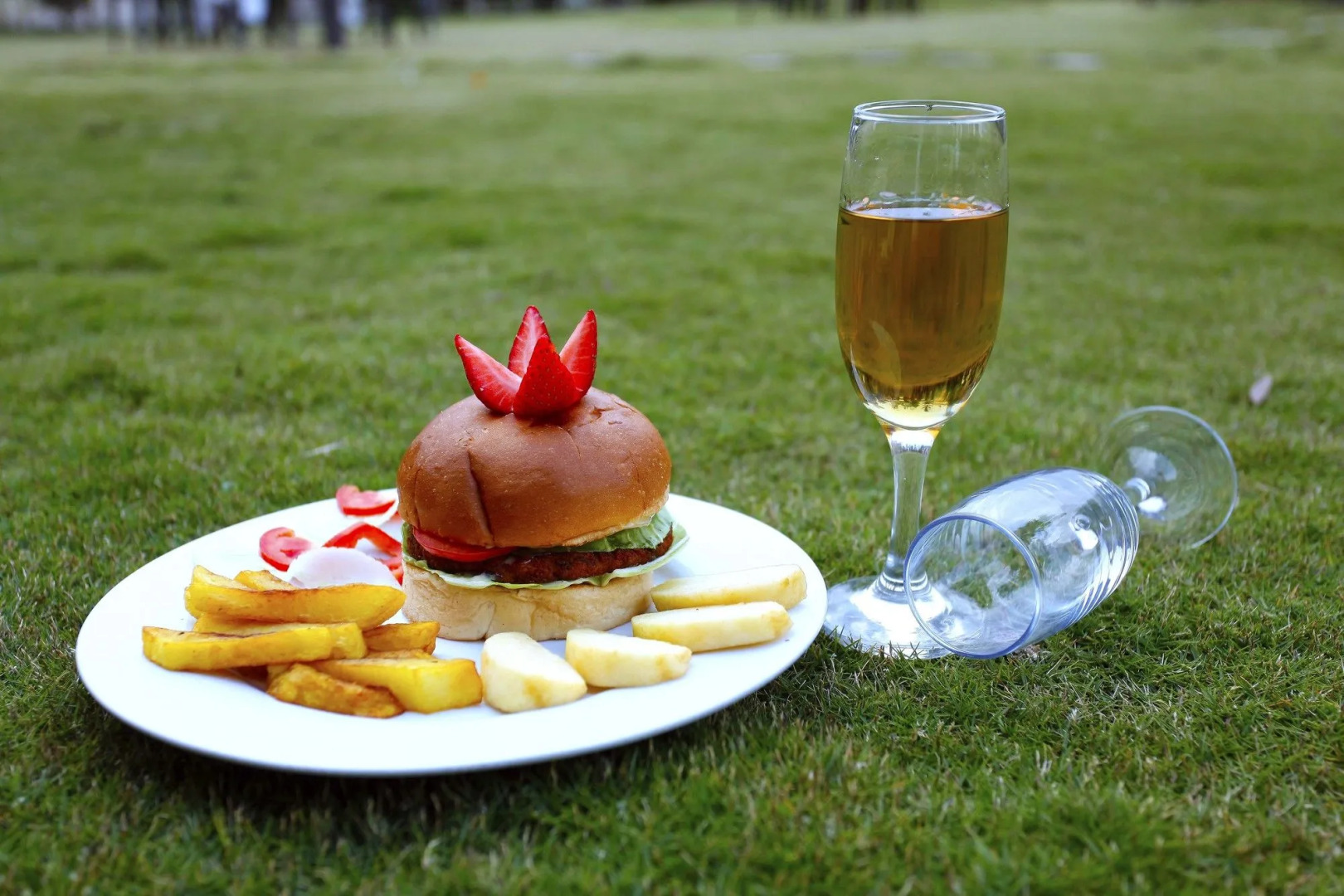 Hotel Crown Himalayas