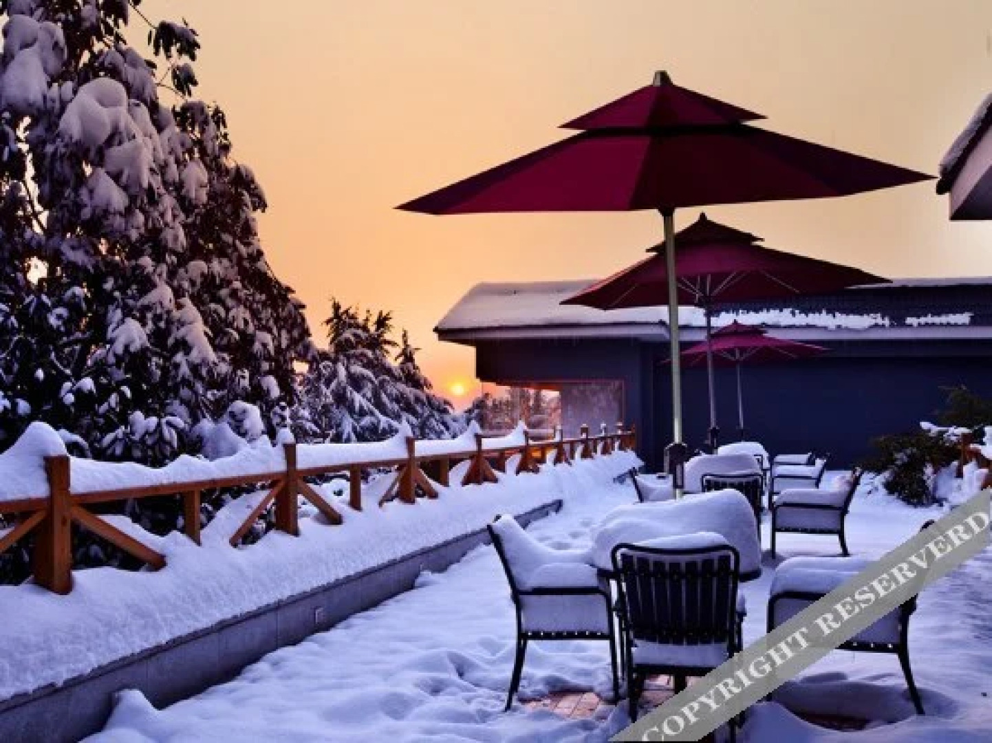 Ze Lin Hill-view Hotel