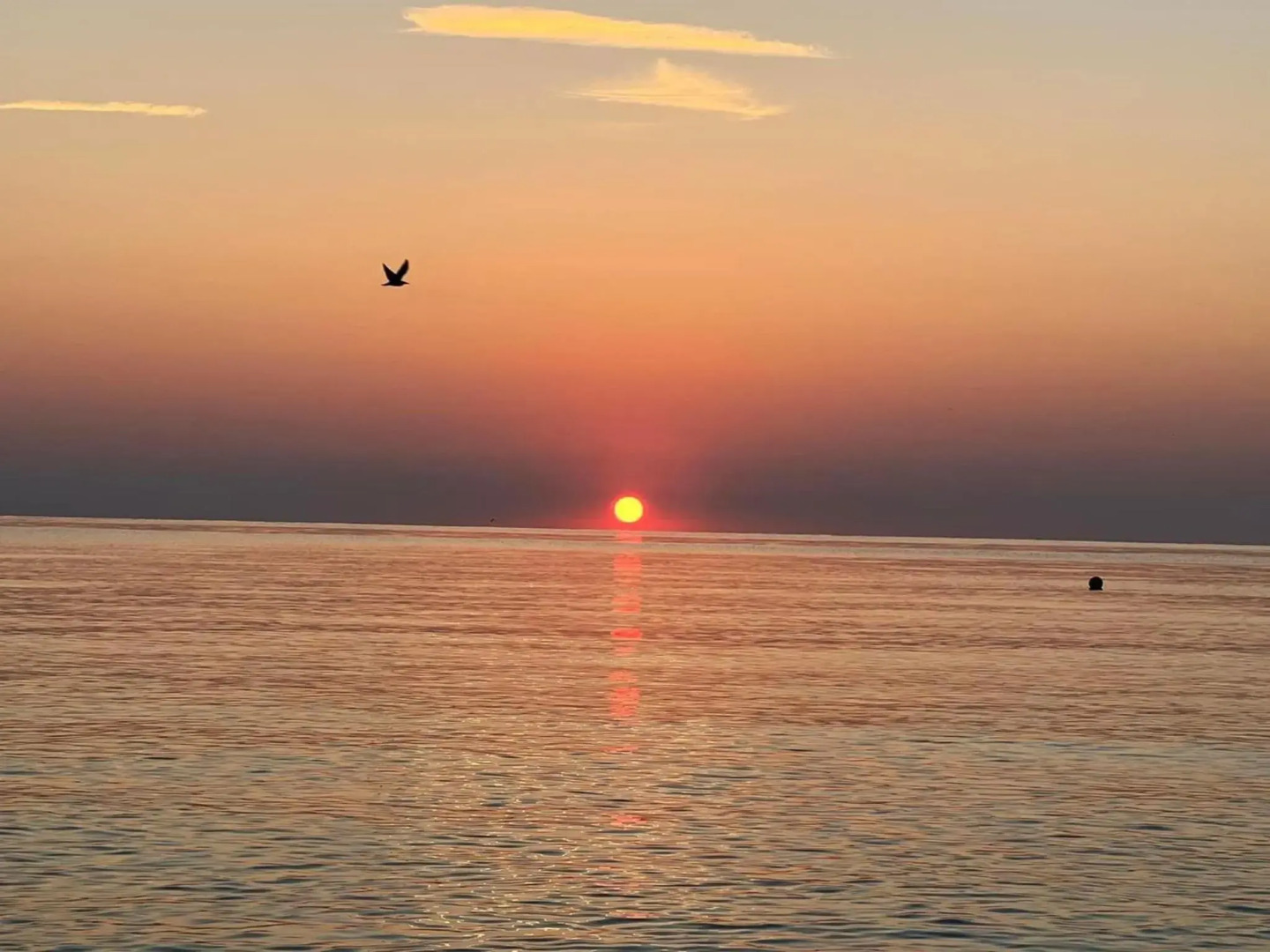 Sea Complex Relax& Spa- All Inclusive