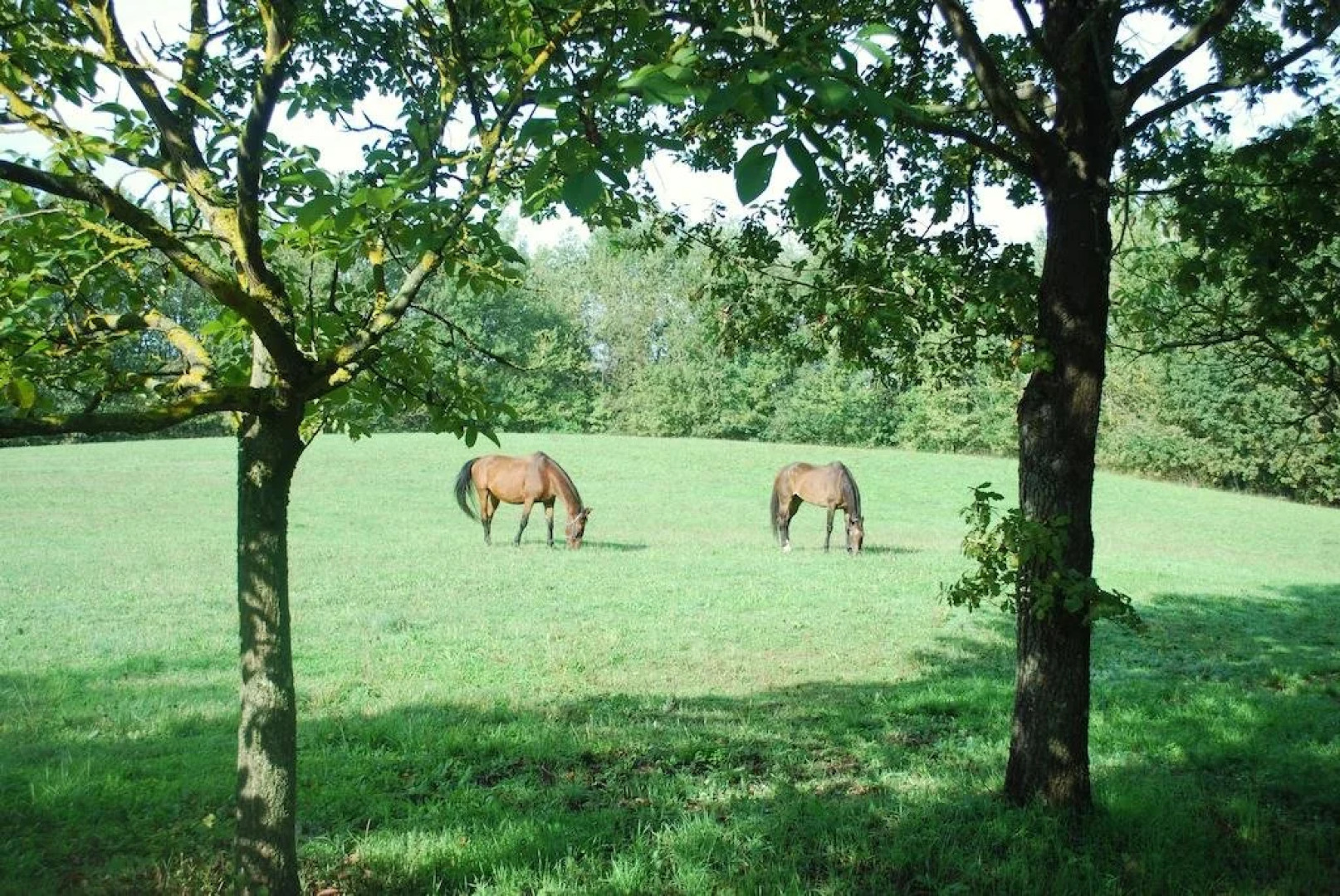 Bed & Breakfast Cascina Cin Cin