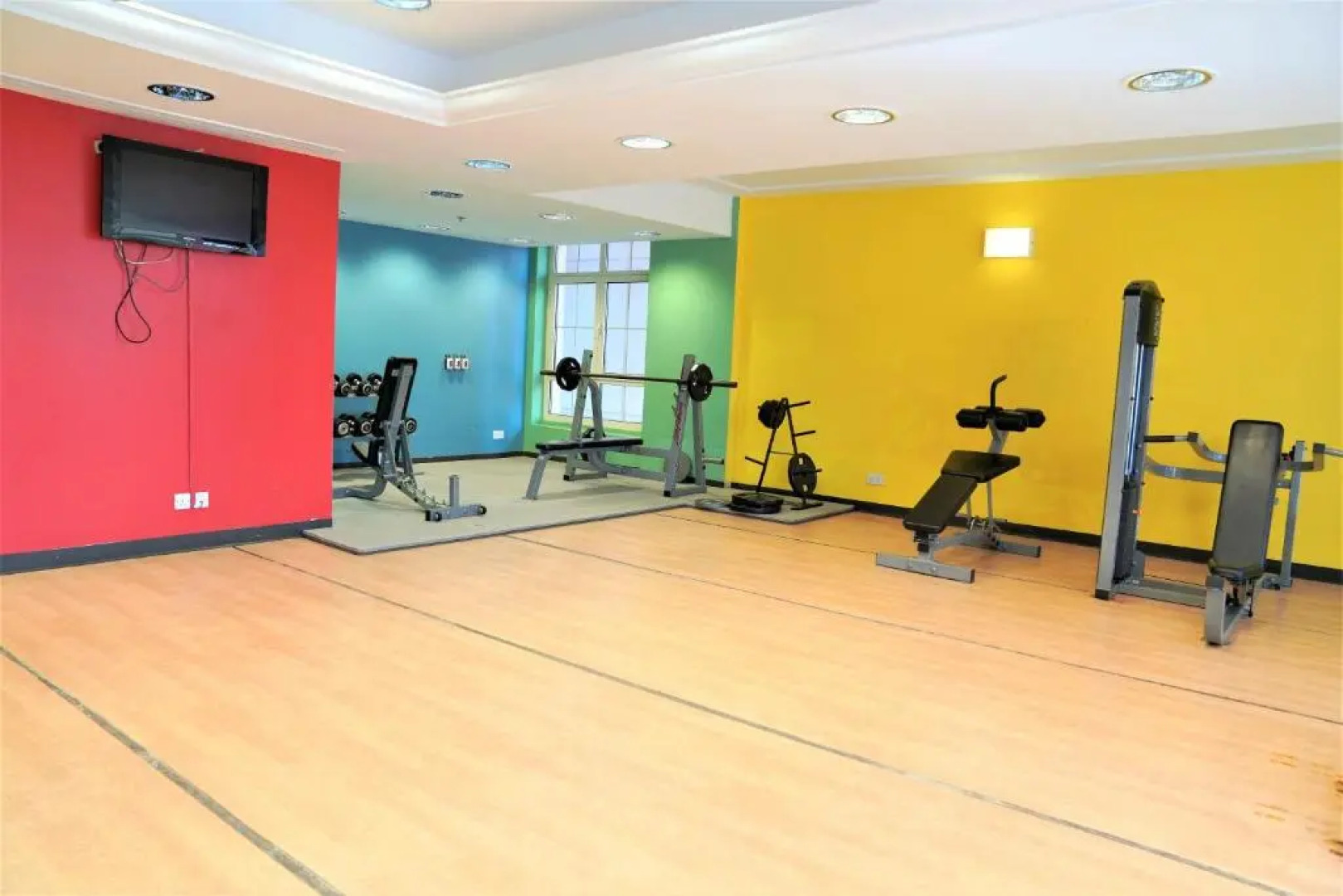 Baylasun Icon أيقونة البيلسان