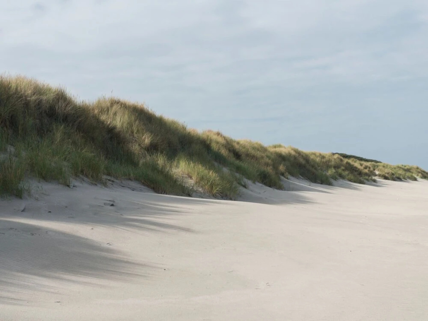 Dune Villa with Sauna on Island of Vlieland near Woods & Sea