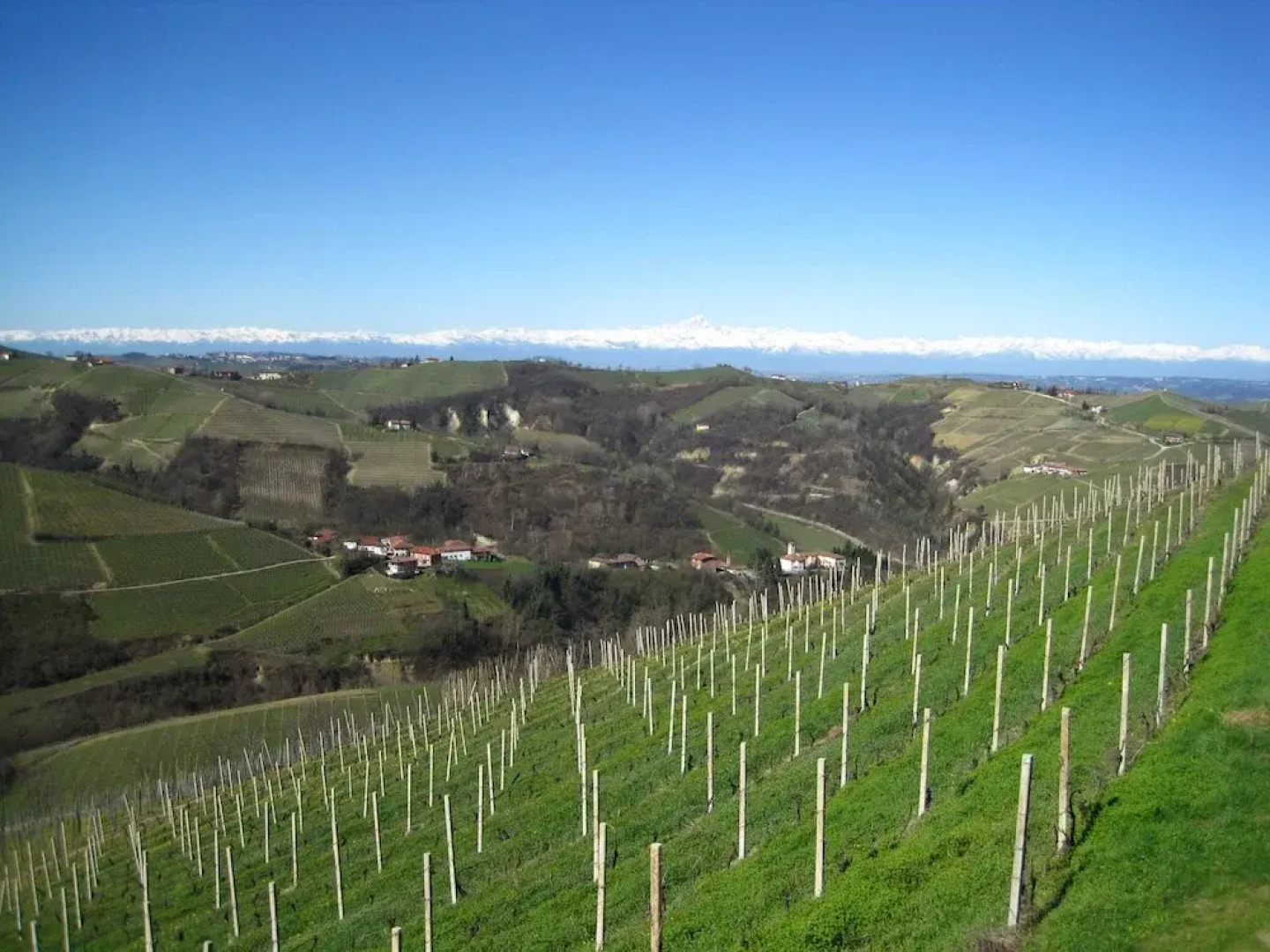 The Bread Oven House