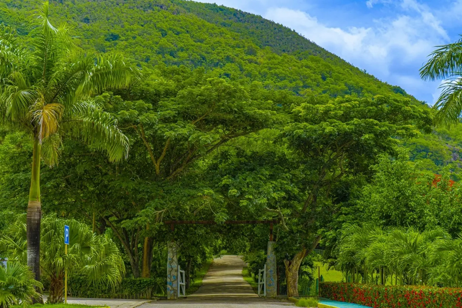 Horizontes Segundo Frente