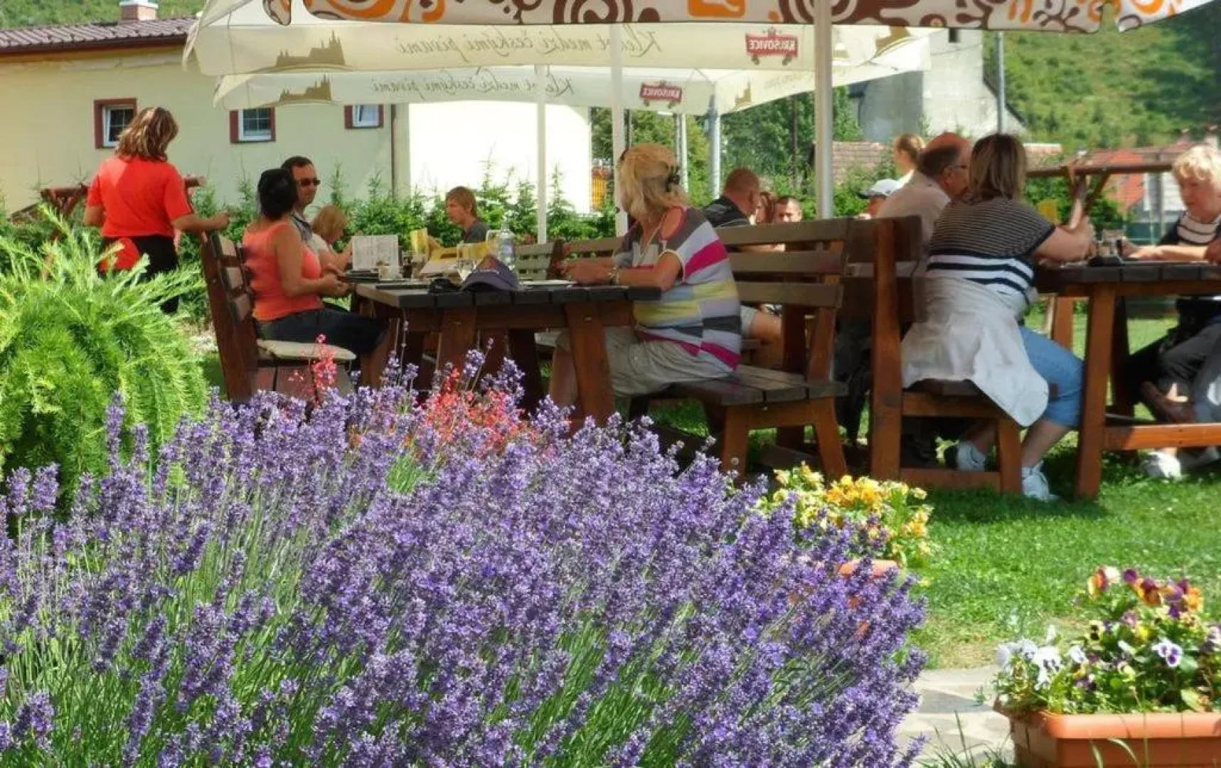 Villa Victoria Penzion