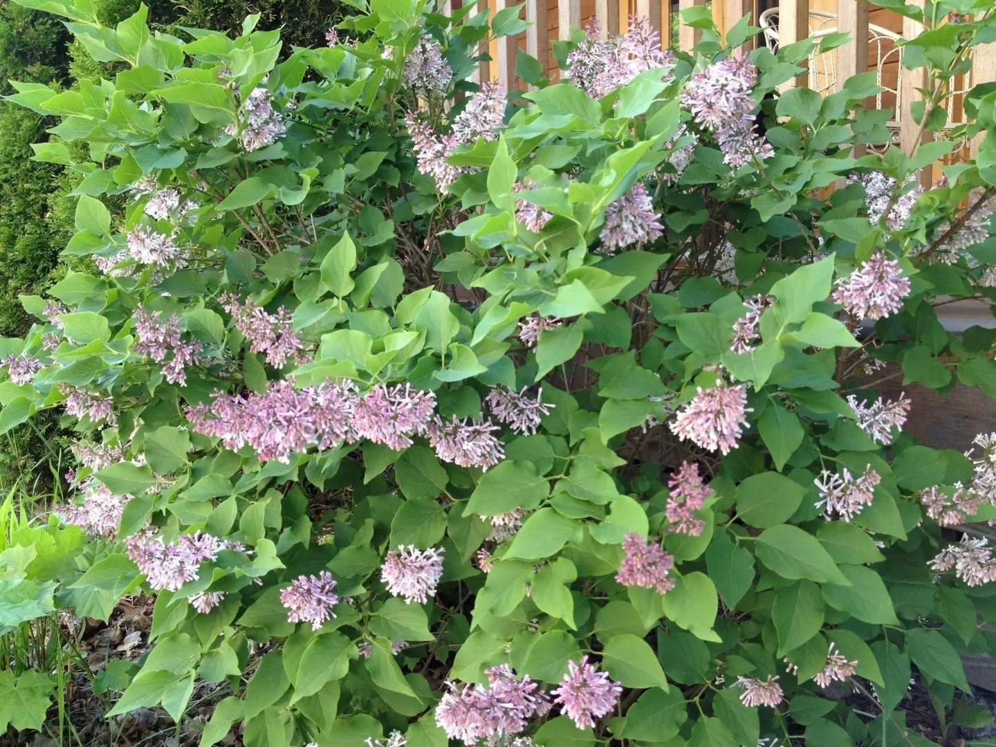 The Trail in Adams - Berkshires’ Art Hotel