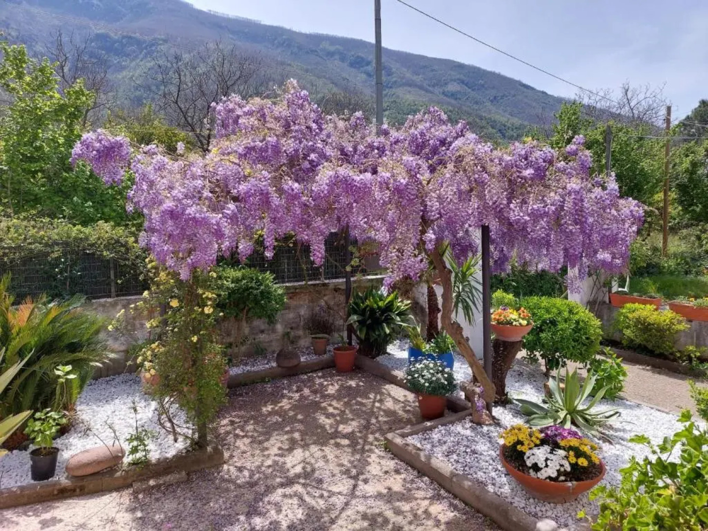 Secret pearl! Amalfi Coast, Pompei & Naples Free parking