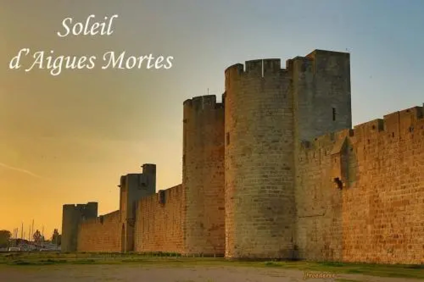 Locations soleil dAigues Mortes