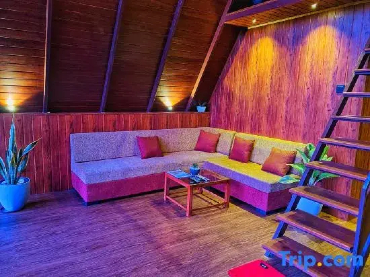 The Mountain Breeze Galle