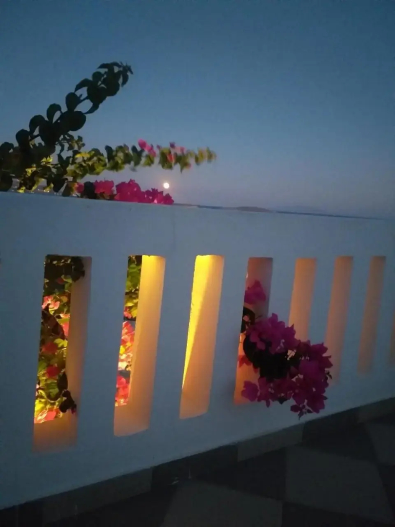 Rose's House