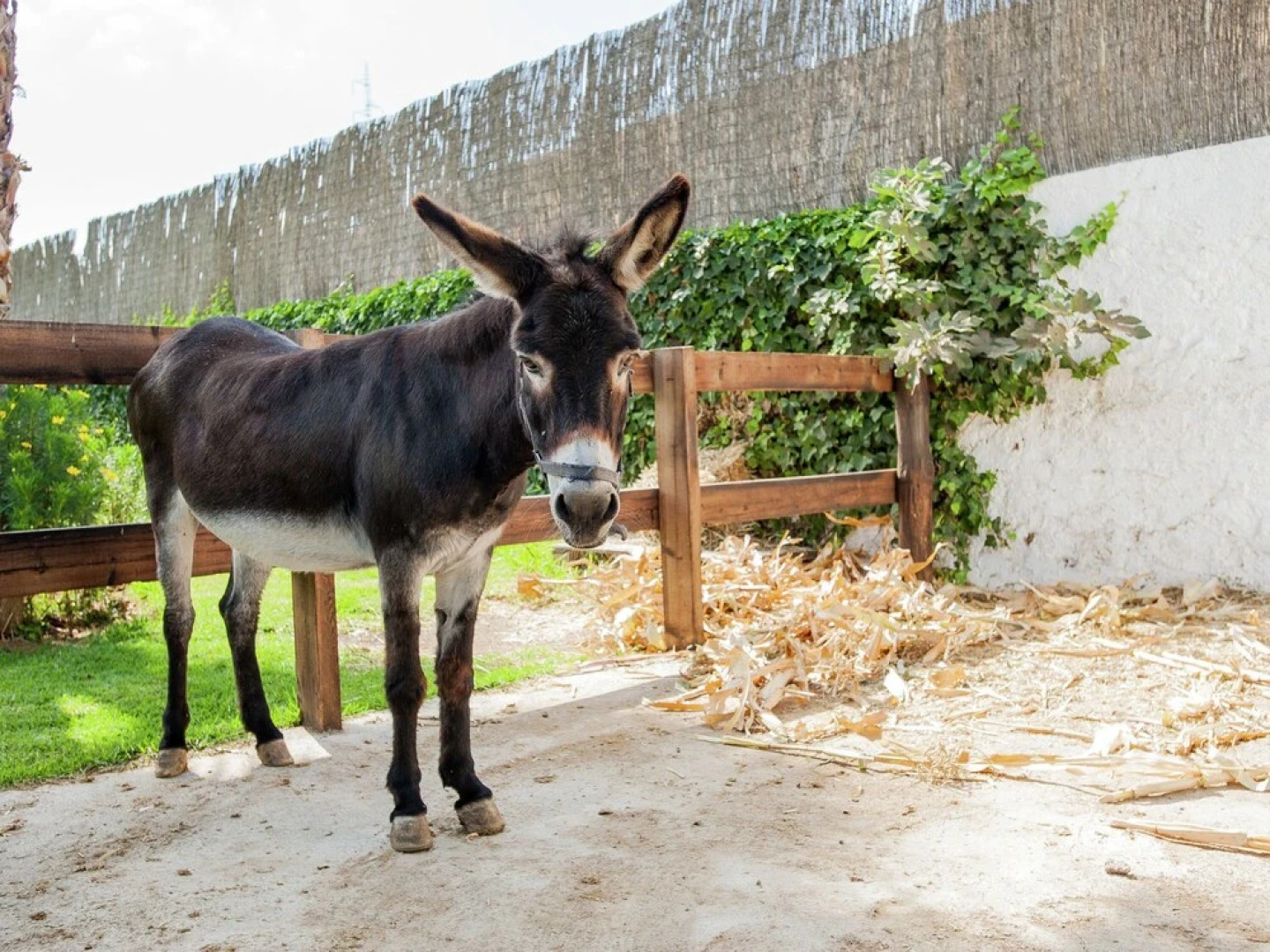 Rustic Cottage in El Padul With Swimming Pool