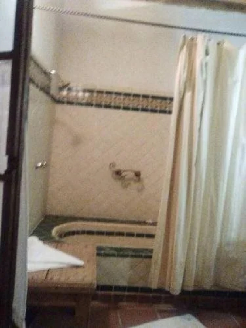 Hacienda del Río Batopilas