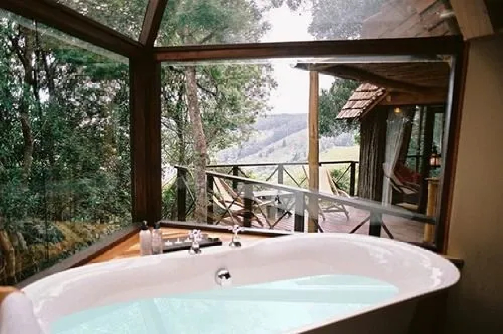 Phantom Forest Eco Reserve