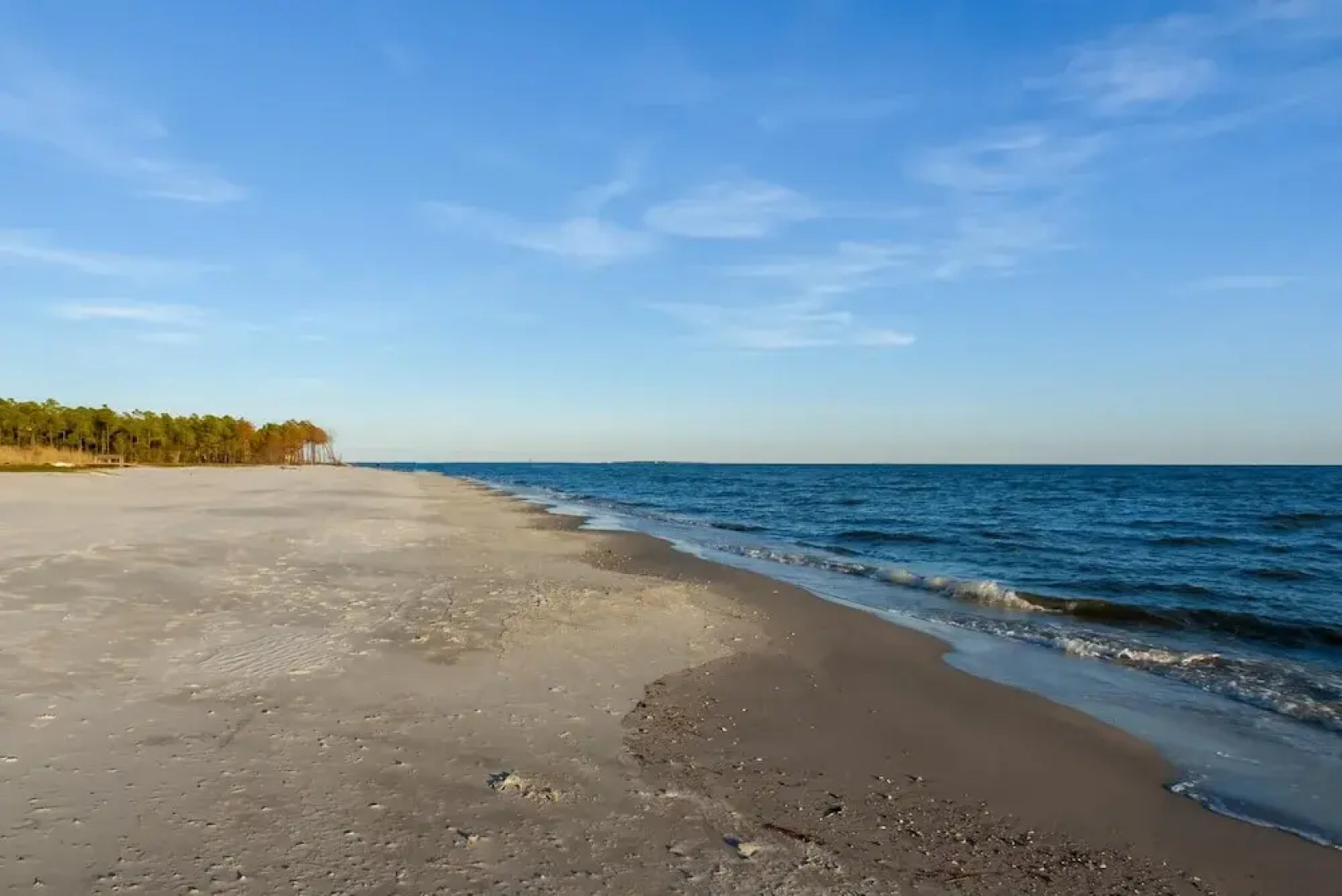 Purple Parrot - 200 Leonora Ct