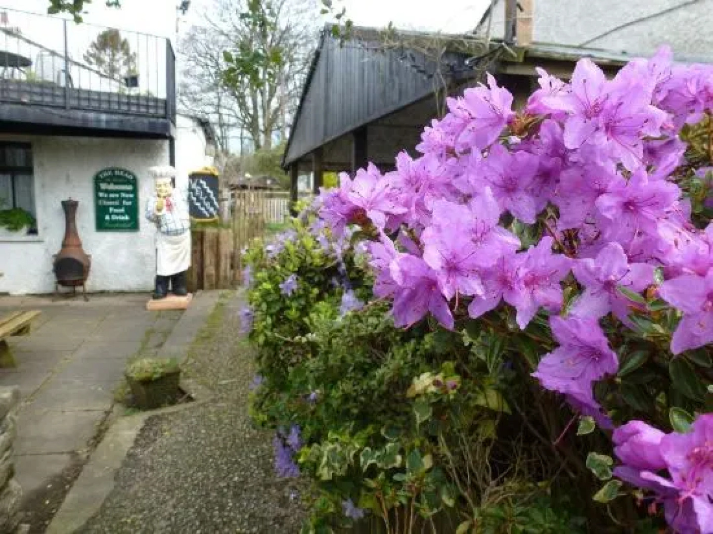 The Head At Middleton