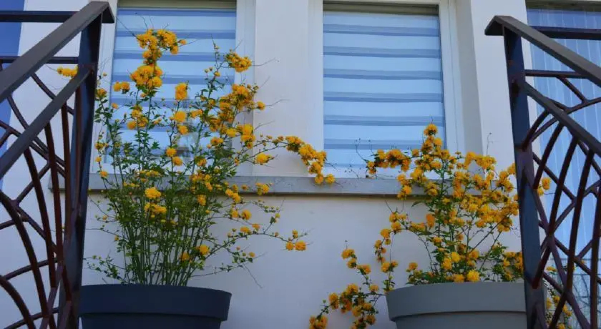 Gîtes sous les Tonnelles