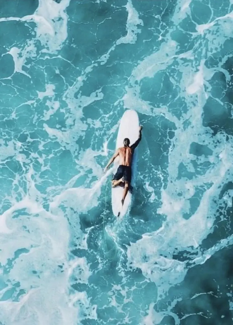 El Pez Surf Hotel