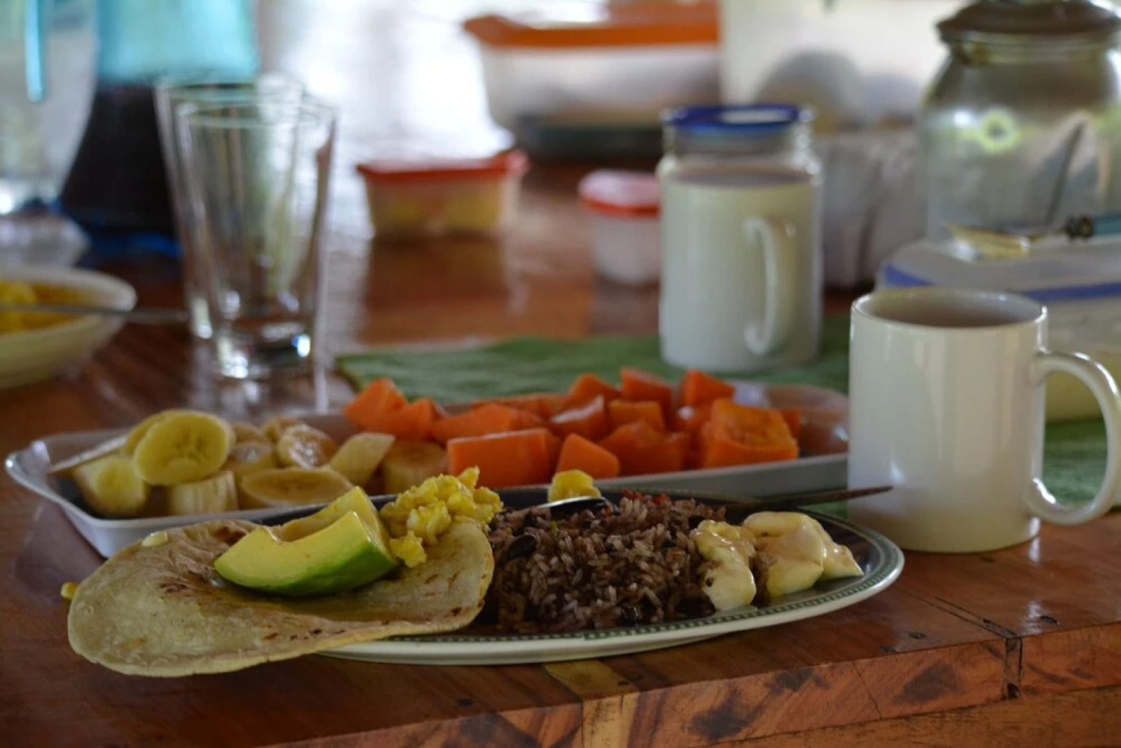 Albergue La Laguna Corcovado Park