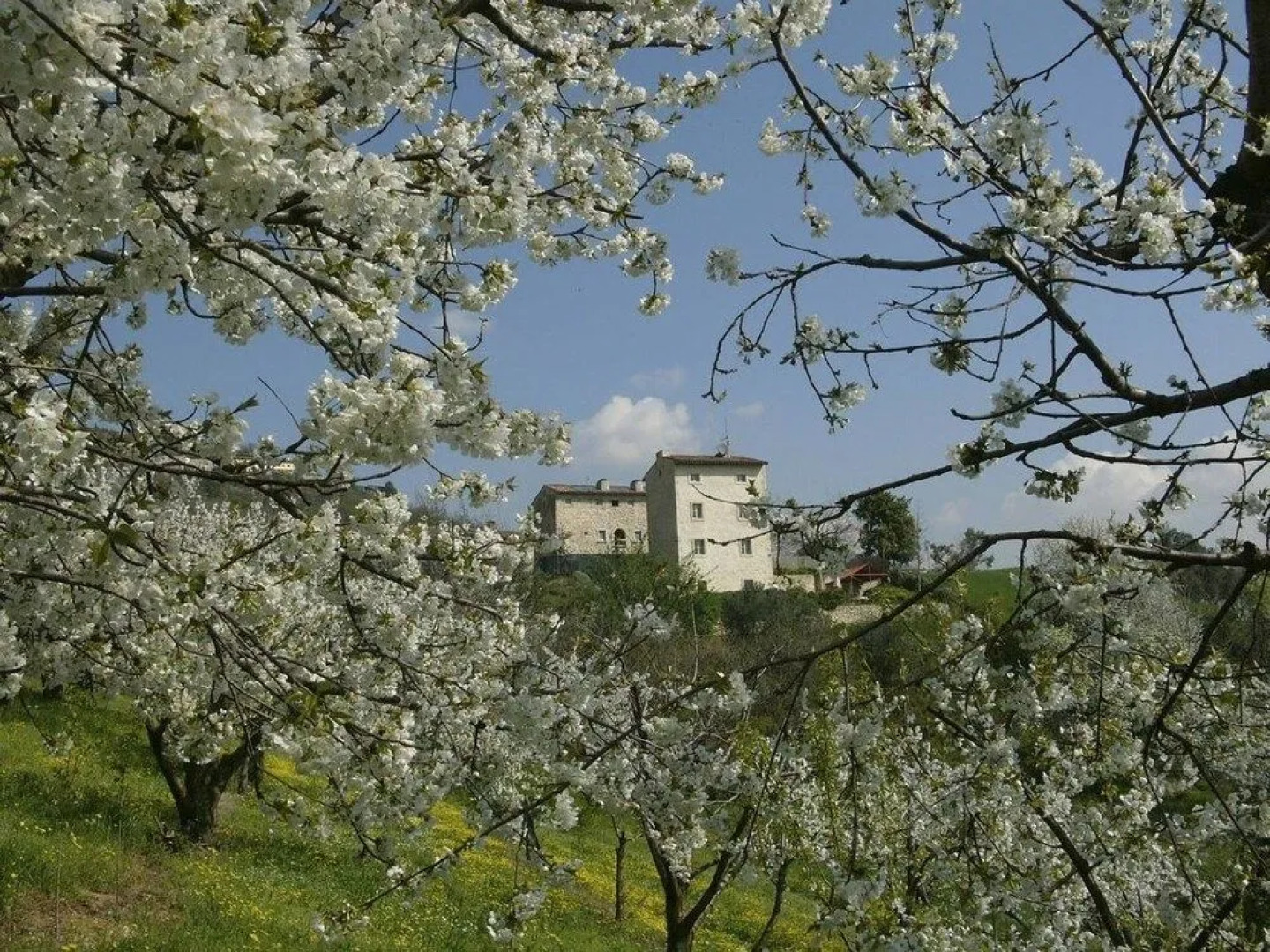 Pianaura suites - La Torre Tra Le Vigne