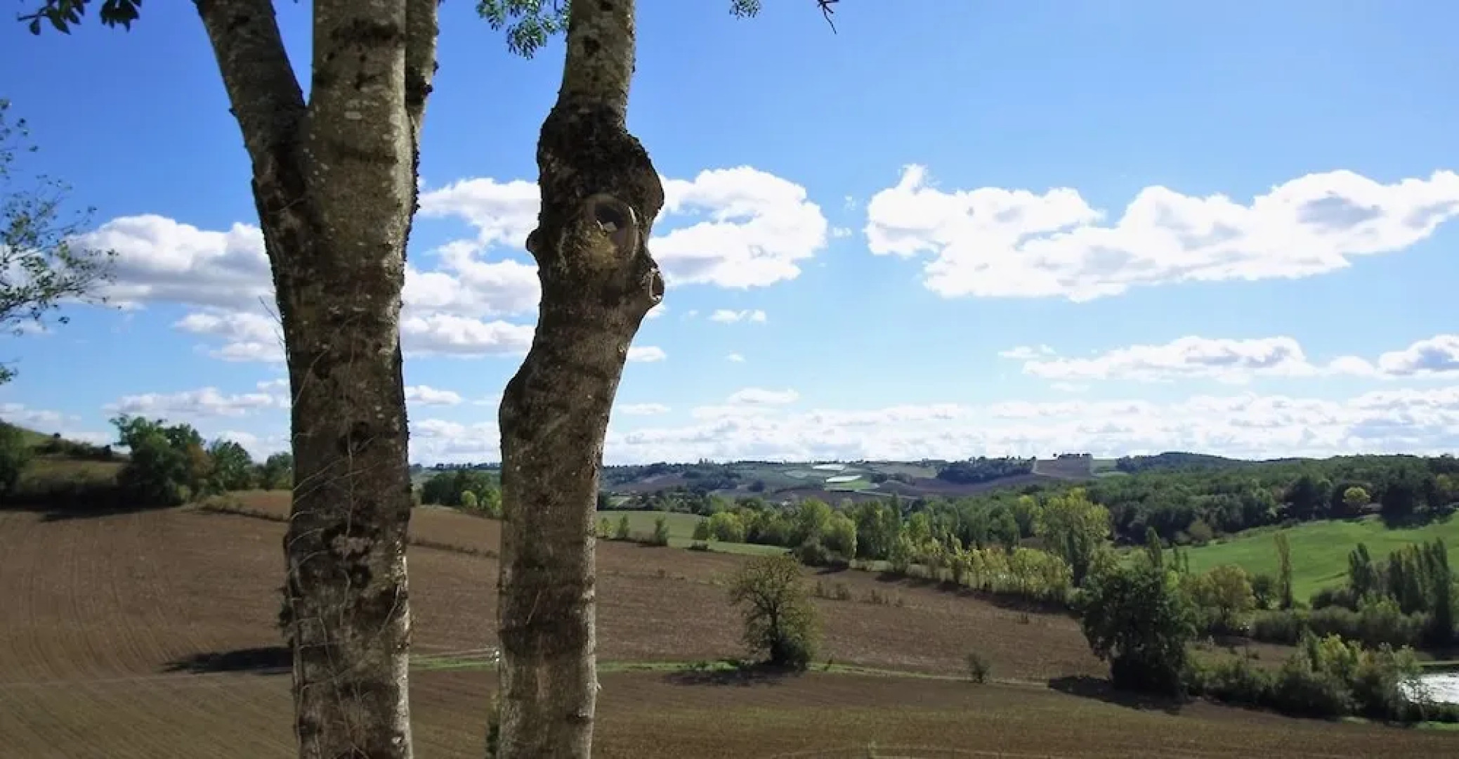 Domaine de Massoulac