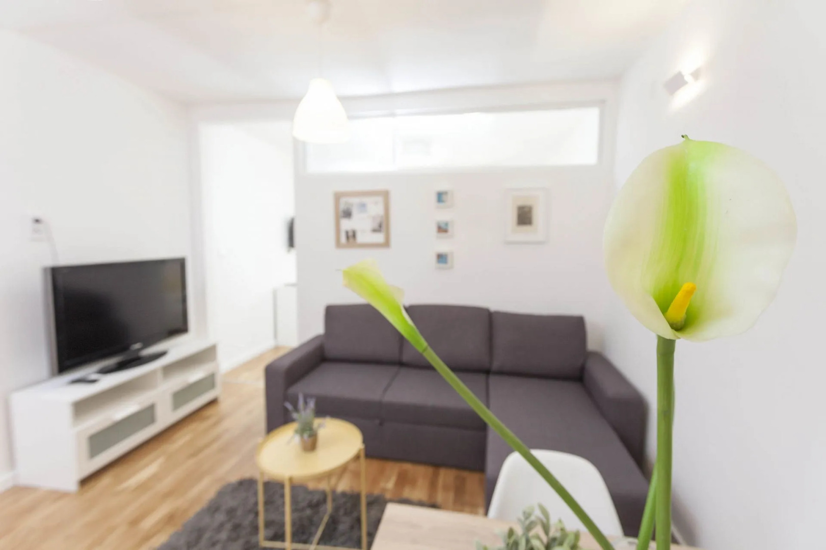 Apartment Maja - 50 m from beach : A2 Makarska, Riviera Makarska