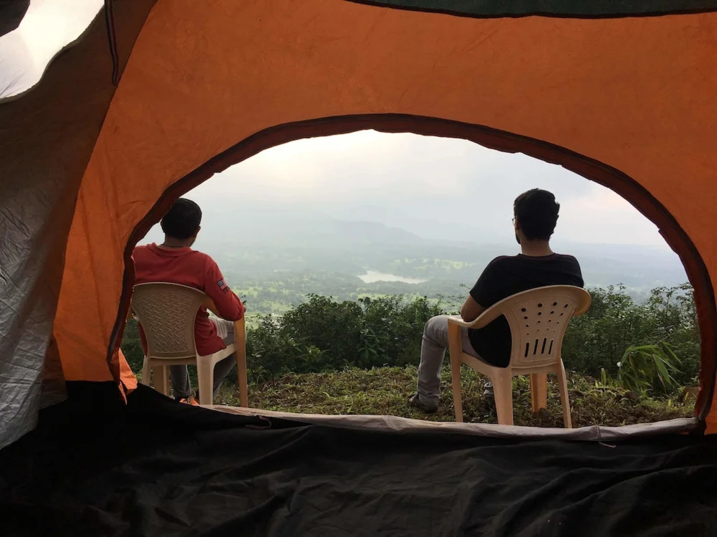 Canary Forest Camping