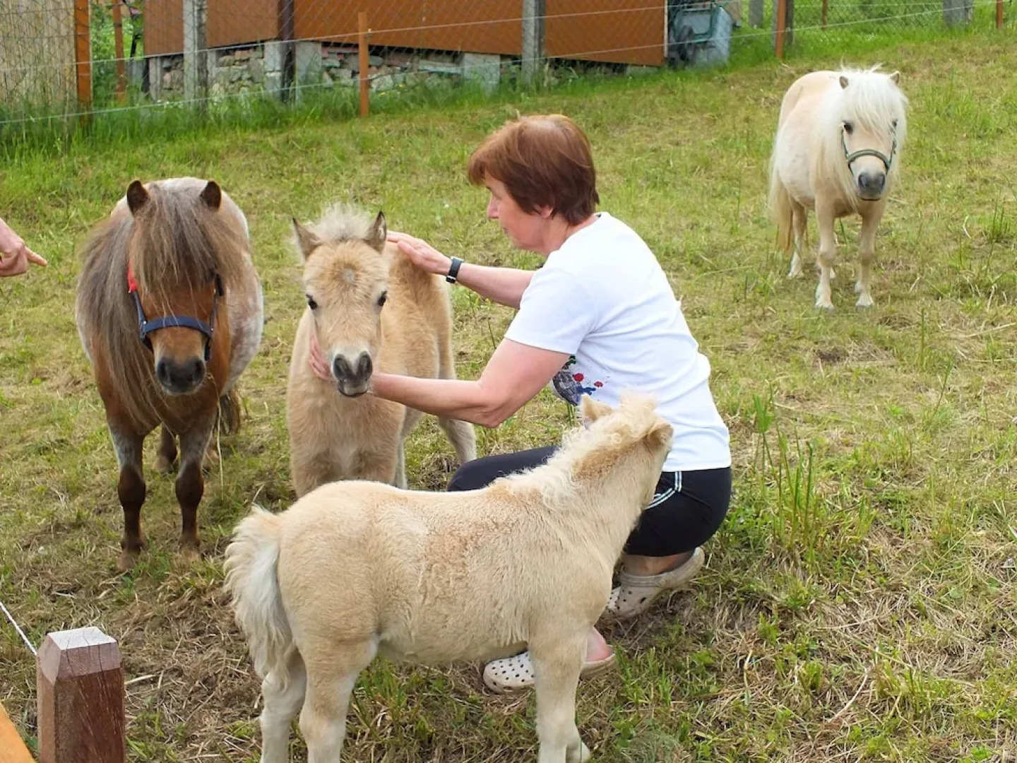 Lovely Ground-floor Apartment With Terrace in Jöhstadt, in the Ore Mountains
