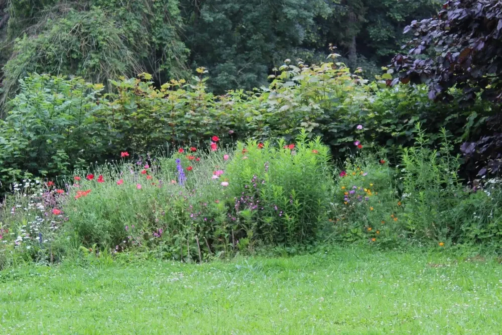 Gite du chateau de Mecquignies