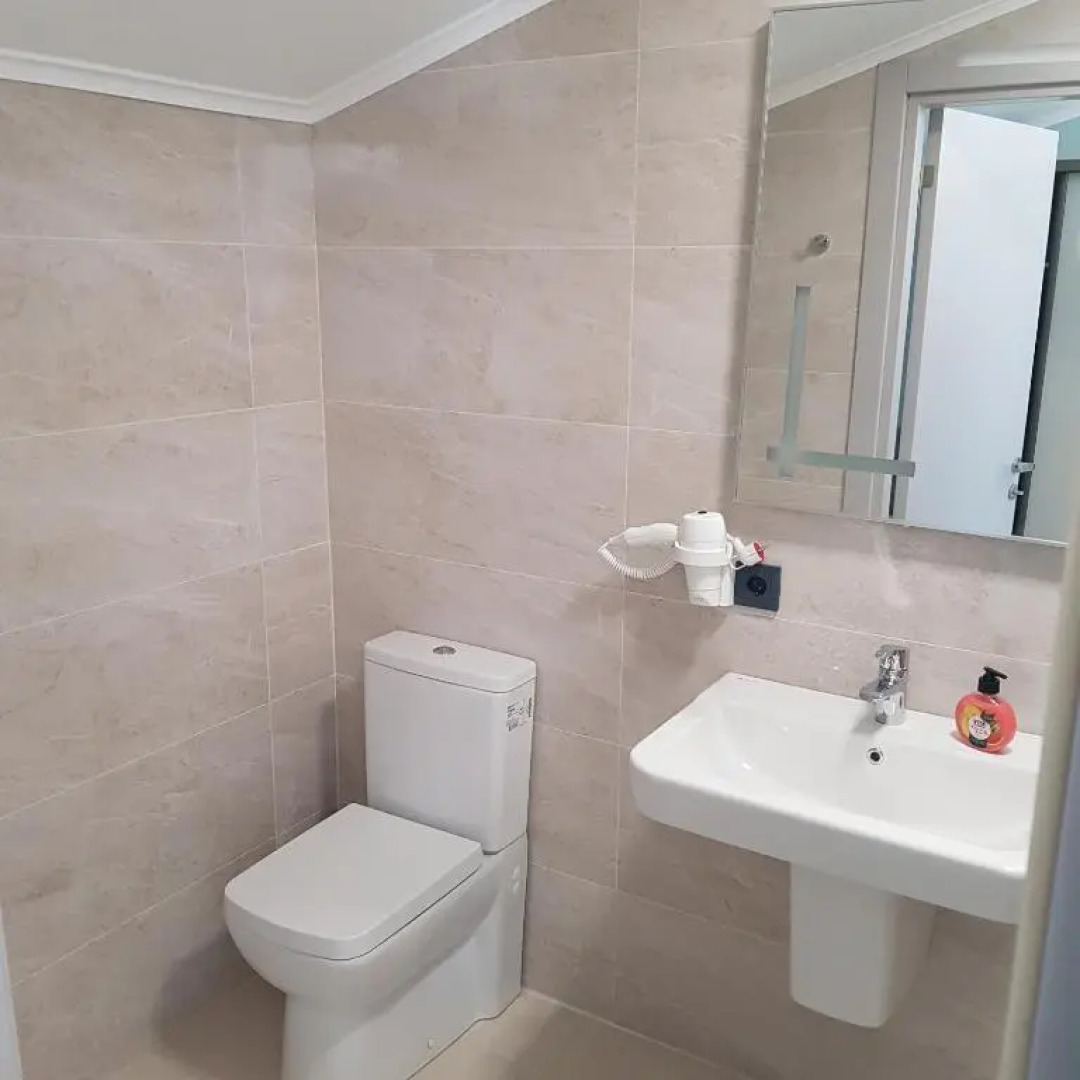 Черный слон Каштак (Сухум)