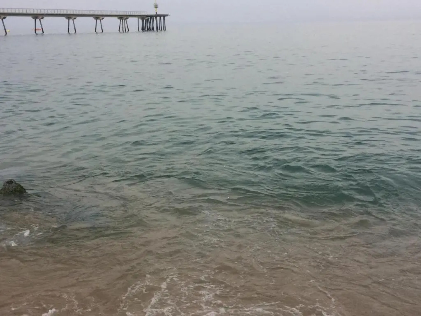 BADAROSA House10min to BARCELONA City&NearTo BEACH