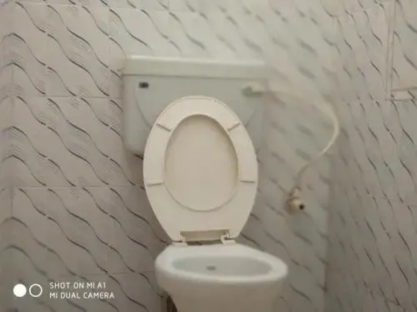 Neelanjana's Hotel Hindustan