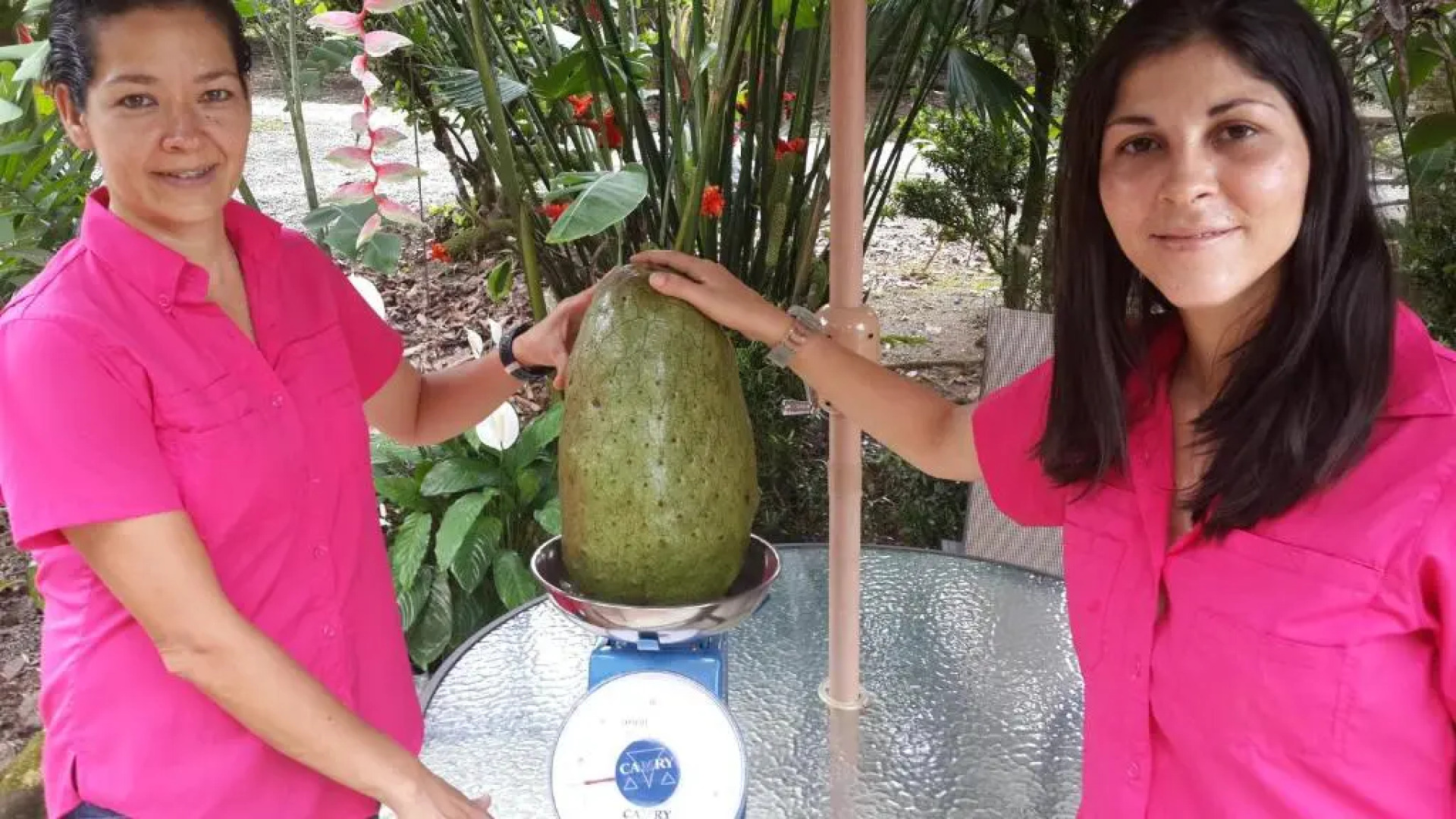 Hotel Roca Negra Del Arenal