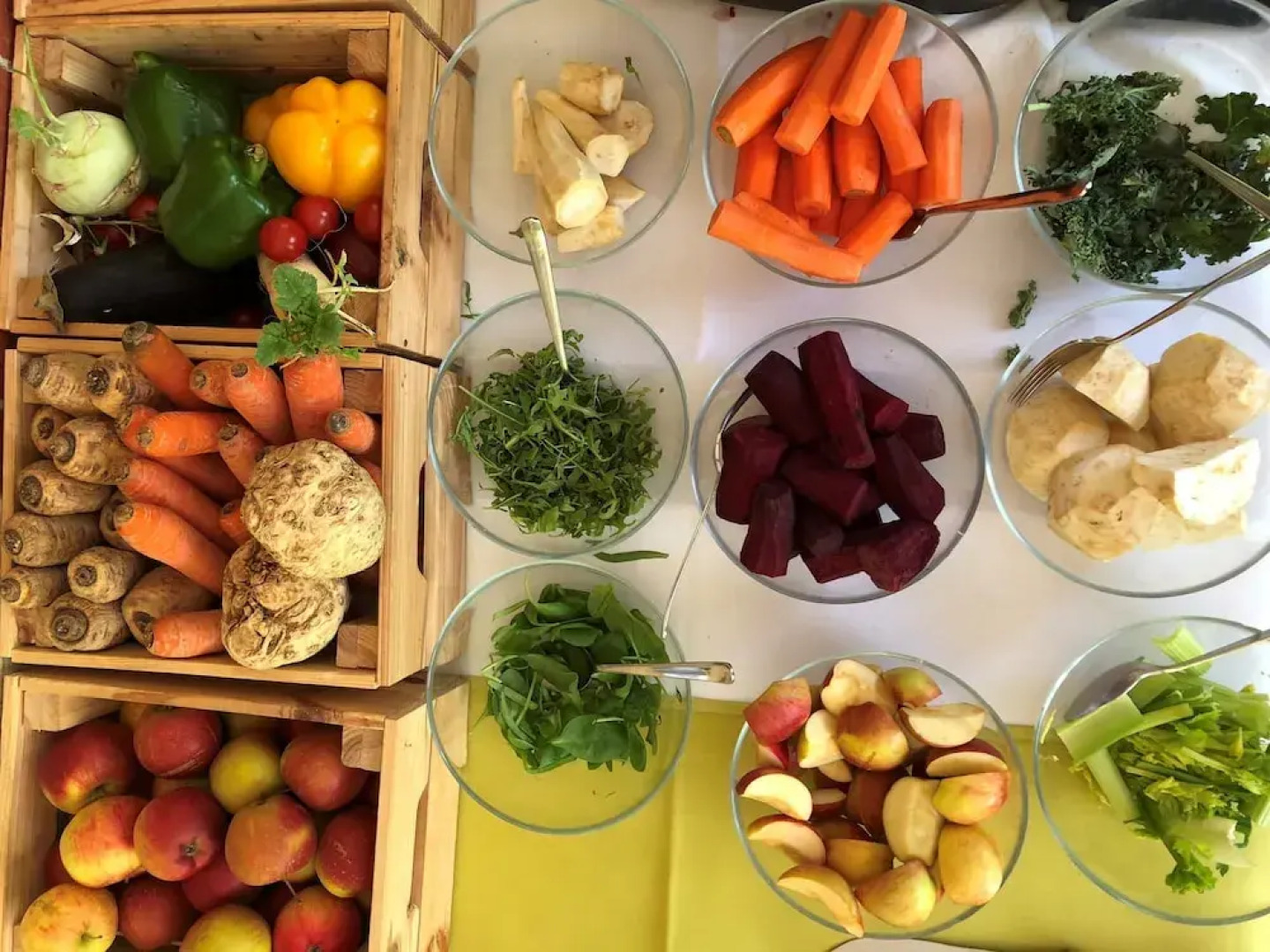 Hotel Dębowy Biowellness & SPA