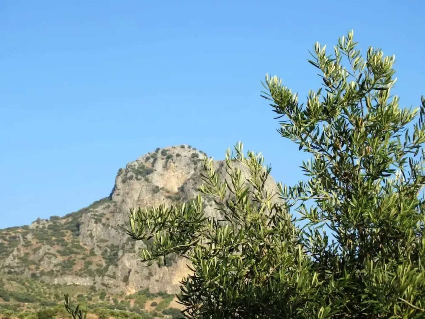 Villa With 3 Bedrooms in El Gastor, With Wonderful Lake View, Private Pool, Enclosed Garden
