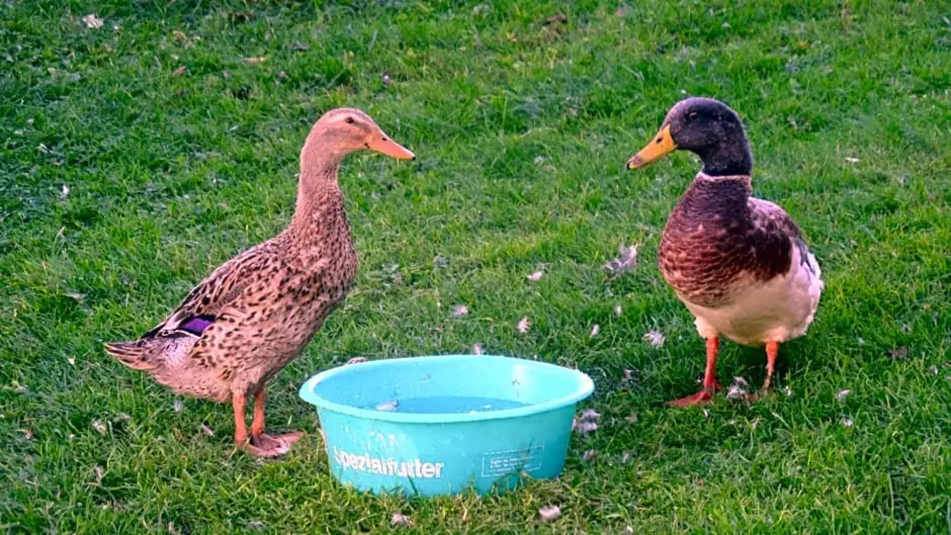 Biobauernhof Obereck