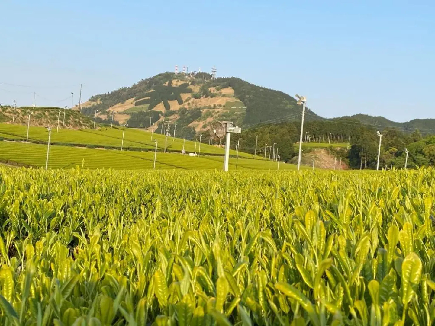 Tabinoya - Vacation STAY 69884v