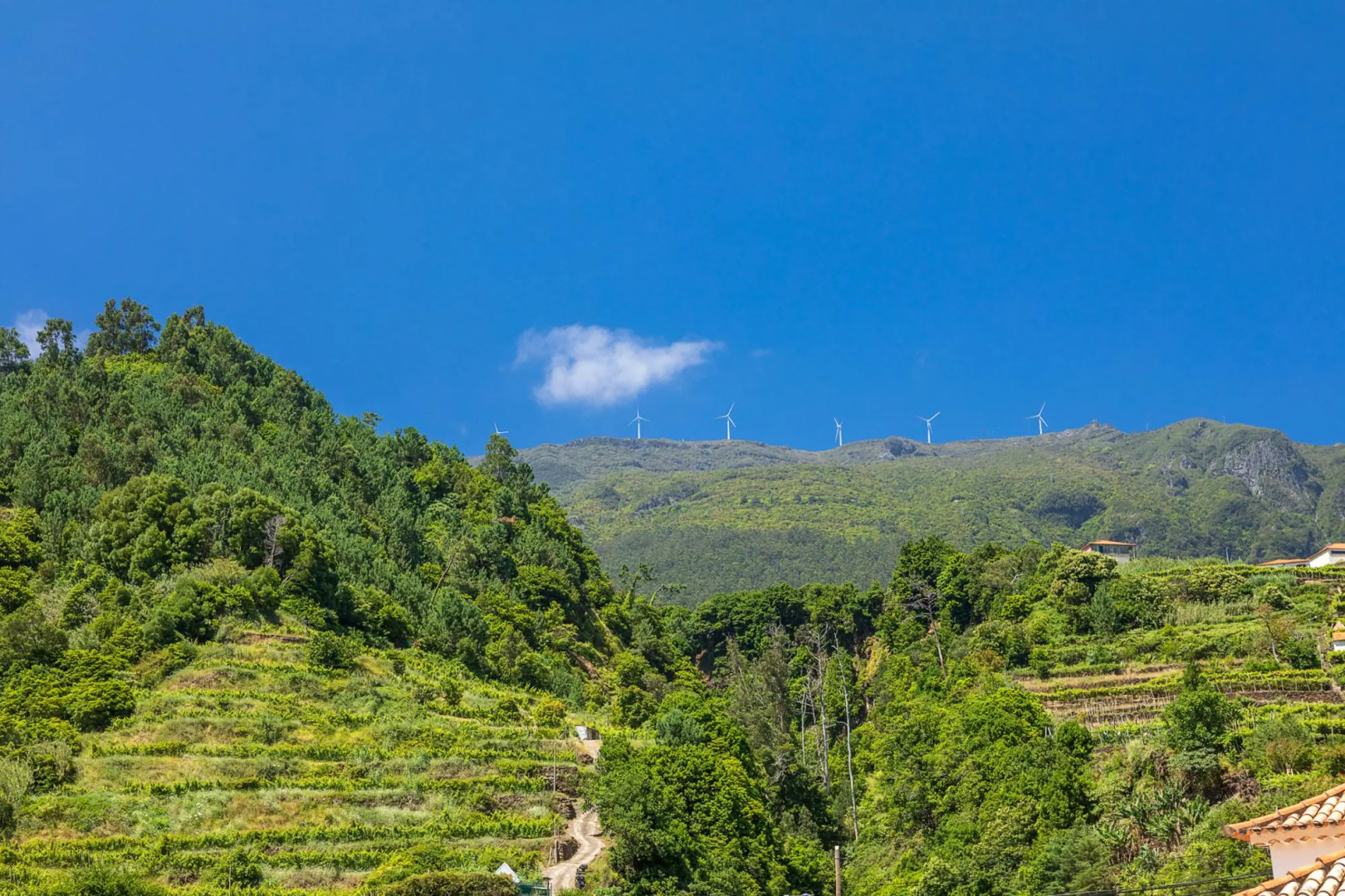 Vila do Largo B by Homie