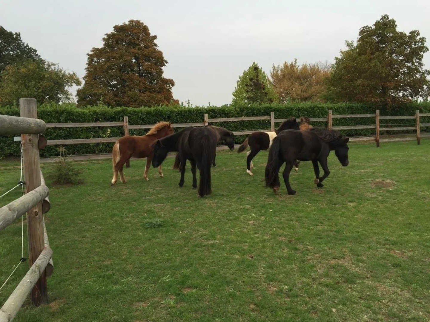 Gästehaus Osterhöll