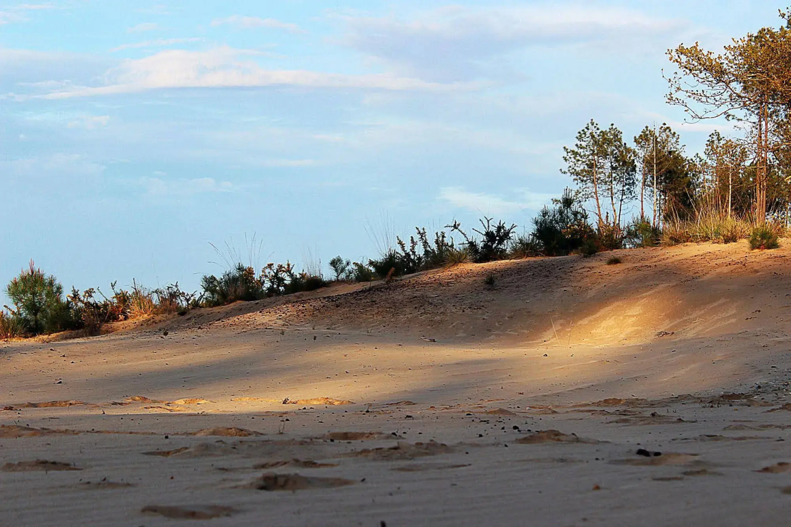 Au Ptit Creux Des Landes