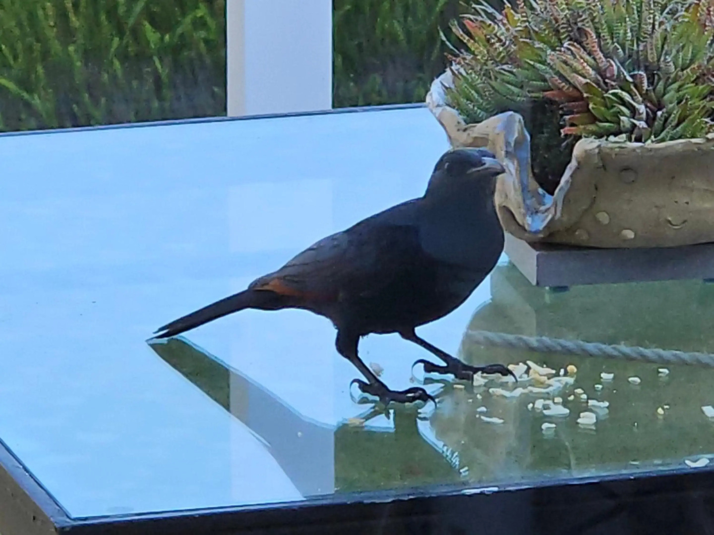 Stannards Guest Lodge