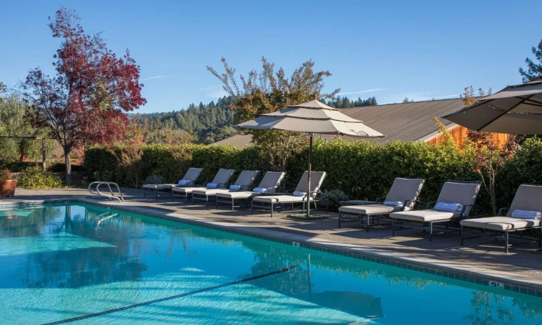 Le Petit Pali St. Helena