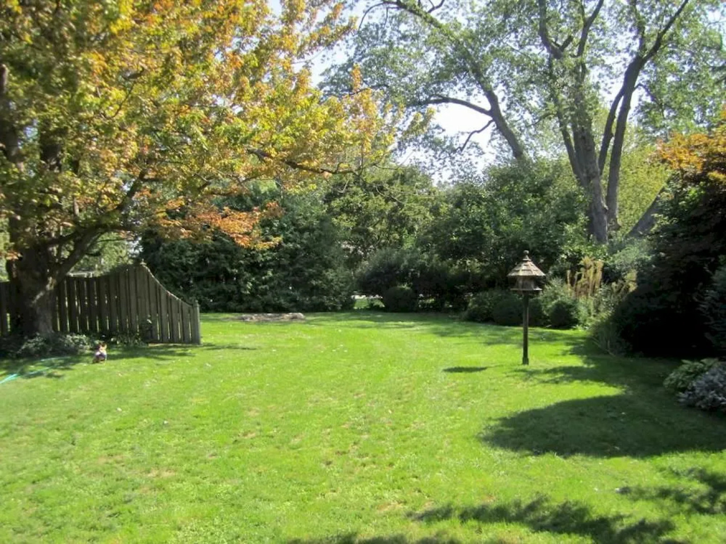 Dancing Tree Guest Suite