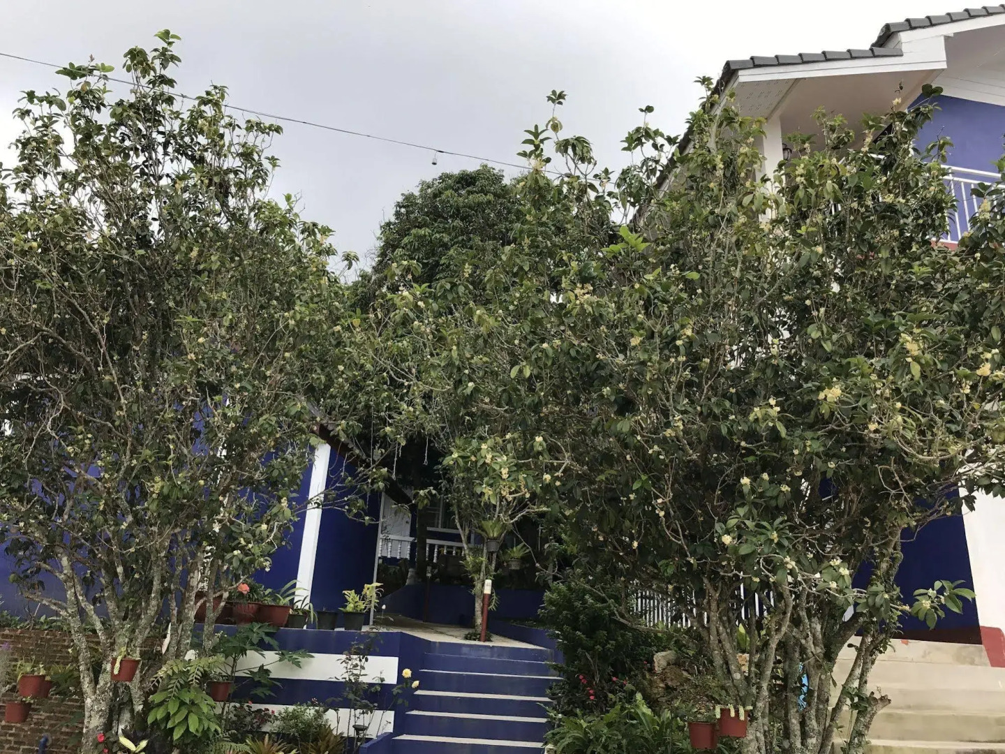 Shin Sane Guesthouse